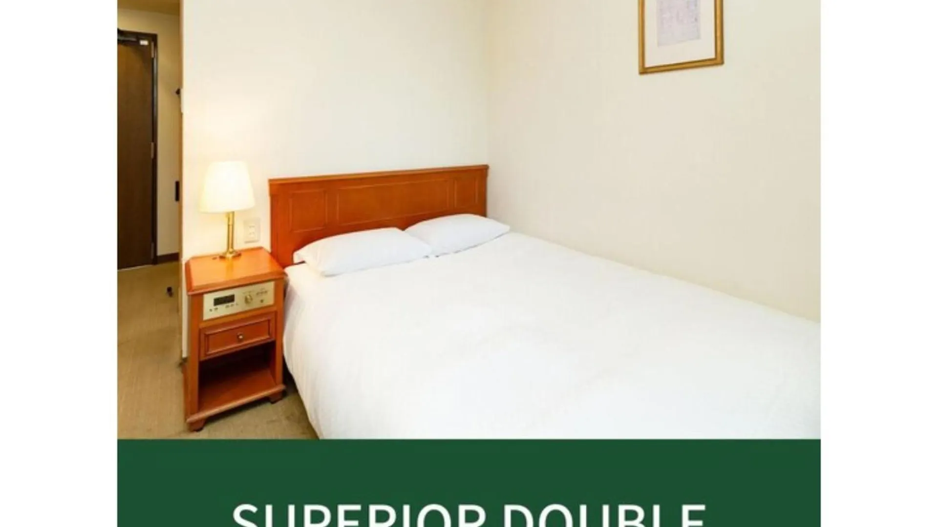 Plaza Hotel Premier - Vacation Stay 40091V Fukuoka 0*,